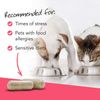 VetriScience Laboratories- Vetri Mega Probiotic for Dogs & Cats (180 Capsules)