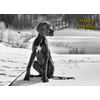 Great Dane Birthday Card