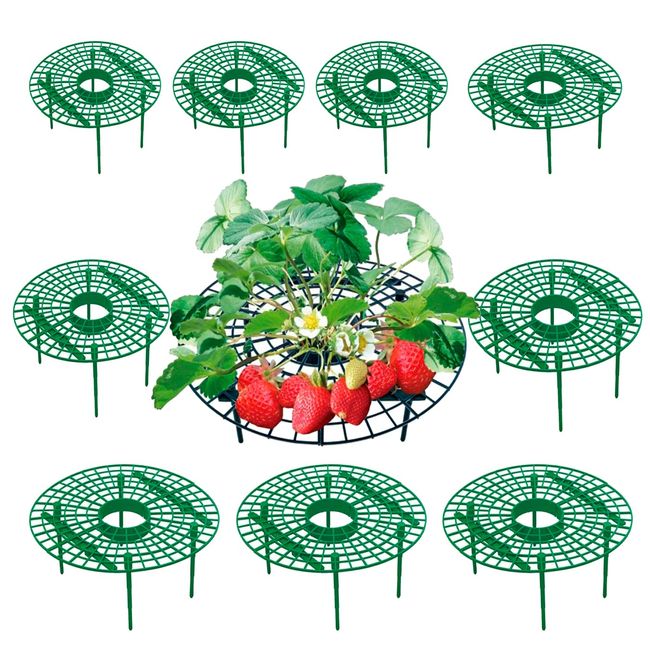 S.fields.inc Strawberry Shelves, Set of 10, Strawberry Planter Shelf, Strawberry Seedling Shelf, Growing Shelf, Support Shelf, Garden Posts, Tomatoes, Eggplant