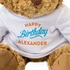NEW - HAPPY BIRTHDAY ALEXANDER - Teddy Bear - Soft Cute Cuddly - Gift Present