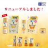 Hada Labo Gokujun Premium Hyaluronic Liquid Lotion Refill, 6.1 fl oz (170 ml) (x 1)