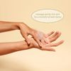 l occitane shea verbena extra gentle soap 250 g