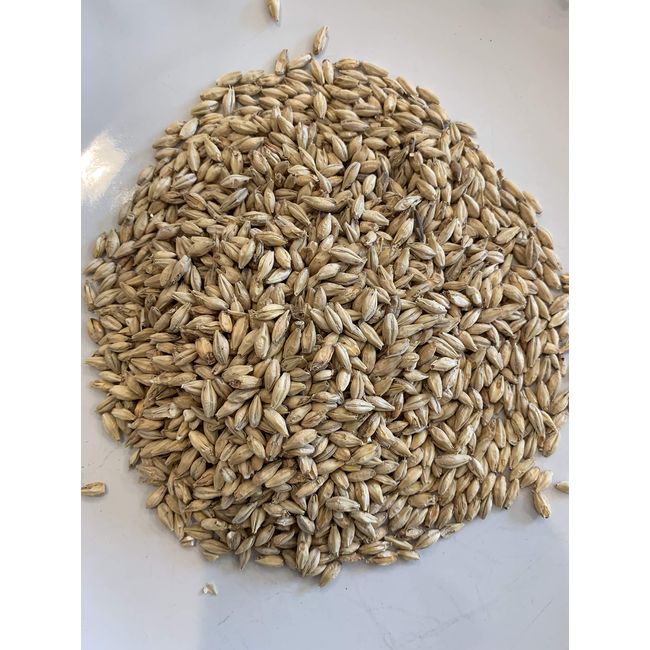 Malted Barley for Moonshine Whiskey Mash by North Georgia Still Company (10 lbs.)