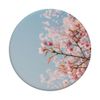 Cherry Blossoms PopSockets Swappable PopGrip