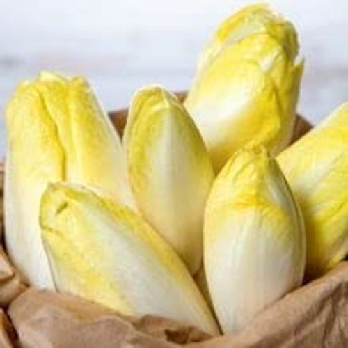 Inulin 500 g - the very special prebiotic fibre from the chicory root (chicory)