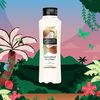 Alberto Balsam Coconut & Lychee Conditioner, 350ml