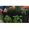 Rail Planter box Home improvement by Viatek Deck Black Plastic Outdoor Solution