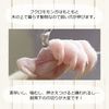 Momogamon Republic Nail Sharpener Bar Bat Type Momo-goods-bar-bat