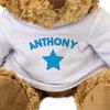 ANTHONY - Teddy Bear - Cute Soft Cuddly - Gift Present