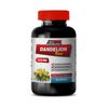 antioxidant supplement - DANDELION ROOT 520MG - dandelion herb 1B