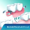 ポリグリップ 入れ歯安定剤 無添加 75g