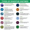 1200MG Digestive Enzymes Multi Enzymes Complex 240 Capsules with Probiotics CFU