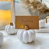 Kate Aspen Rustic Pumpkin, Thanksgiving Table Décor, Fall Themed Weddings, White