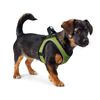 Hunter - Wire Harness Comfort M-L Lima