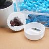 'Porcupine' Compact Pencil Sharpener (PS00029478)
