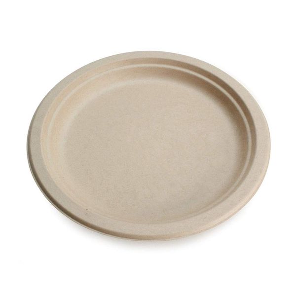 100% Compostable Disposable Paper Plates Bulk [9" 125 Pack], Bamboo Plates, Eco Friendly, Biodegradable, Sturdy Large Dinner Party Plates, Heavy-Duty, Unbleached by Earth's Natural Alternative