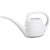Flower Eden 2 Litre Plastic Watering Can