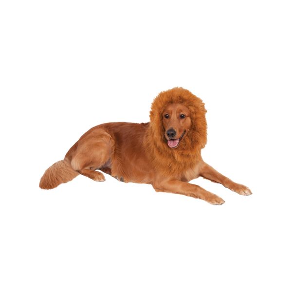 Rubies Deluxe Lion’s Mane for Pets, One Size
