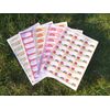 500 Jam & Preserve Adhesive Labels, Five Designs