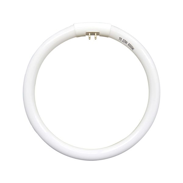 7.25 inch T5 22W Circular Bulb Light Replacement for Floxite, Zadro, Rialto Makeup Magnifying Vanity Mirror, FC22 Surround Fluorescent Lamp 6500K Daylight