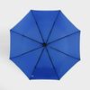 Auto Open Close Umbrella Lightweight Men Ladies Travel Compact Windproof Folding (Black)