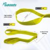 4 Pack Webbing Lifting Cargo Sling Duplex Hoist Strap Heavy Duty 2"x9'  3100lbs
