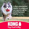 KONG - Ball with Hole - Durable Rubber, Fetch Toy - For Medium/Large Dogs