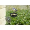 Green Window Feeder
