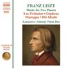 LISZT: PIANO MUSIC VOL.29