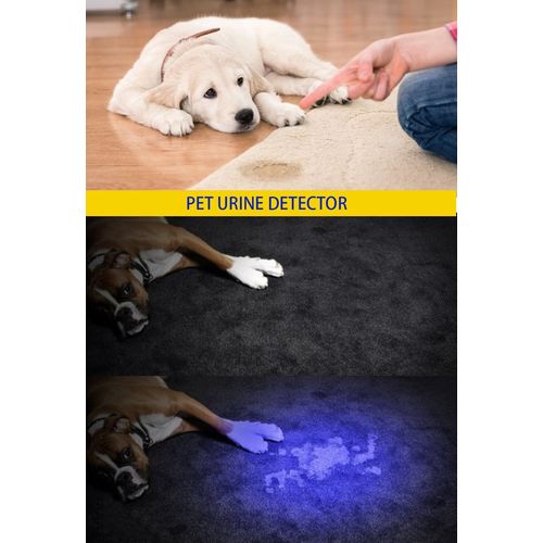 DARKBEAM UV 395nm USB Rechargeable Flashlight Ultraviolet led Light Blacklight Portable 400nm Mini Detector for Dog Urine Pet Stains, Anti-counterfeiting Identification, Resin Curing