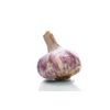 Pure Herbs: Garlic - 4 oz.