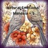 Natural Emotional Mandala - 5