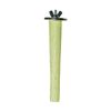 Prevue Pet Products Pacific Perch Beach Walk X-Small