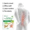 10pcs Lower Back Pain Relief Patch Lumbar Spine Support Sciatica Muscle LongLast