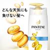 Pantene Shampoo Moist Smooth Care Pump, 15.9 fl oz (450 ml)