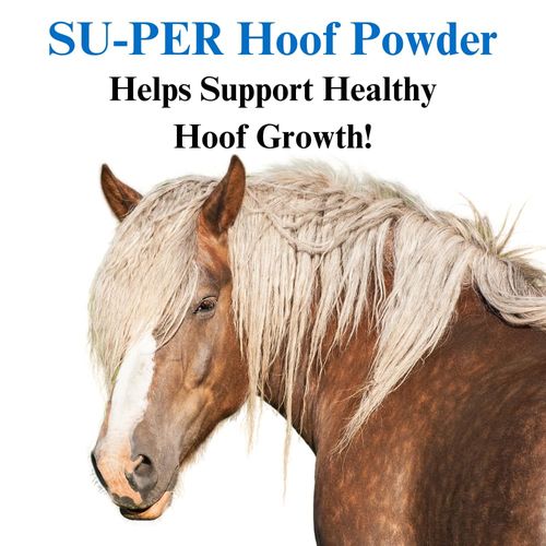 SU-PER Hoof Horse Supplement - Essential Nutrients for Hoof Growth and Hoof Care - Biotin, Gelatin, Lysine, Methionine, Zinc - 12.5 Pounds, 6 Month Supply