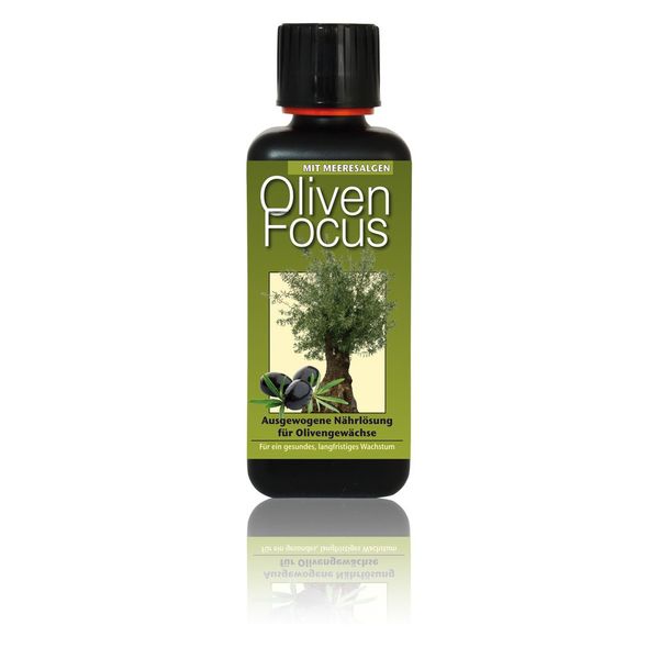 Olive Focus Fertiliser 300 ml Liquid Fertiliser Concentrate Olive Tree Olive