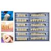 WINDI Denture Care 168pcs/set Dental Acrylic Resin Denture Kit Halloween Horror Props White Denture 23 A3 Up & Down Dental