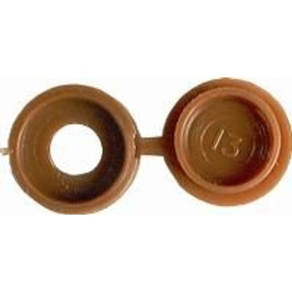250 x HINGED SCREW COVER CAP LIGHT BROWN
