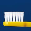 Ci Medical Ci 800 Jr. MS Slightly Soft 1 Box 50 Assorted Toothbrush