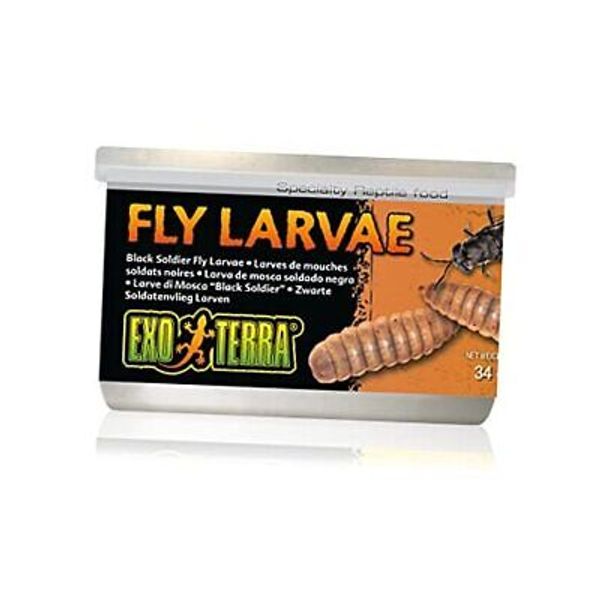 Specialty Reptile Food, Canned Black Soldier Fly Larvae for Reptiles