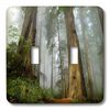 3dRose lsp_80845_2 " Mist in The Forest Double Toggle Switch