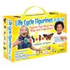 Insect Lore Life Cycle Figurines 24 Pc Set, Brown/a