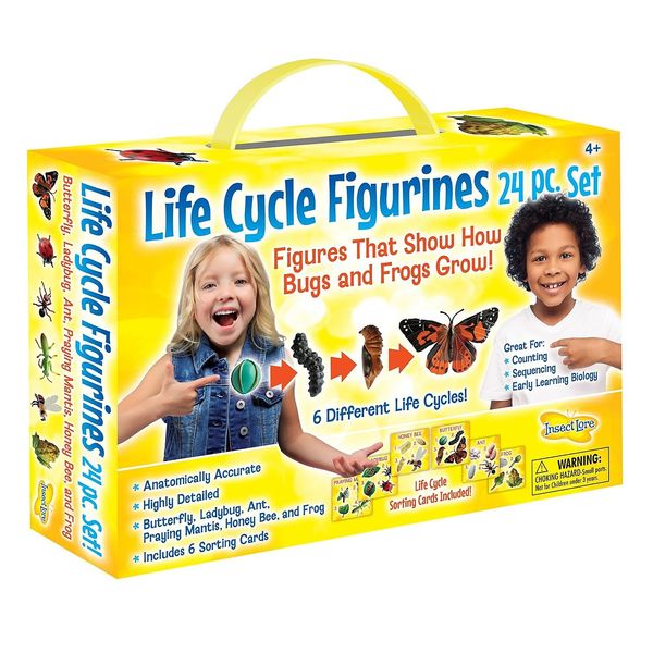 Insect Lore Life Cycle Figurines 24 Pc Set, Brown/a