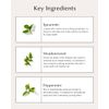 Scalp Purifying Serum with Spearmint & Meadowsweet