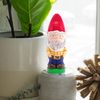 Creative Roots Paint Your Own Gnome by Horizon Group USA