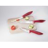 Clauss Microban Knife Kit - Red (Pack of 3)
