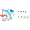 Cogit Neck Cooler, Neck Cooling, Ring, Clear, M, COOLOOP Cool, Ice, Heatstroke Prevention, Cooling Sensation, Heat Protection, Neck Hanging, Freezing, Cool Down