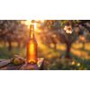Hard Apple Cider Kit – 5 Gallon Batch – Made with 100% Apple Juice Concentrate