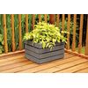 Ronseal Garden Paint Charcoal Grey 250ml